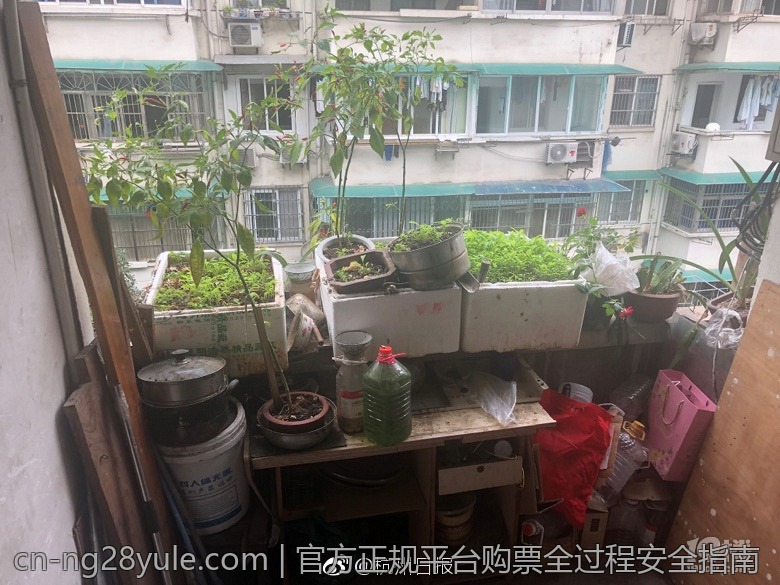 官方正规平台购票全过程安全指南